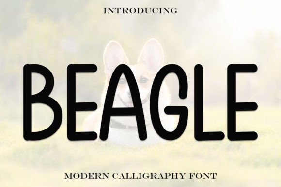 Evaluating the Beagle Handwritten Font for Design Projects