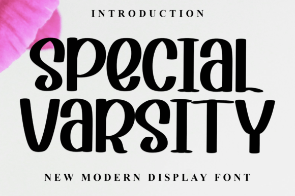 Special Varsity: A Delicate Display Font for Creative Projects
