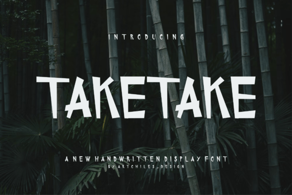 Taketake: A Bold Modern Font for Branding